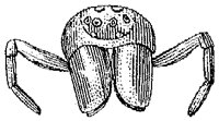 HPN076BM.TIF