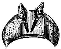 HPN076BJ.TIF