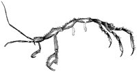 HPN076BC.TIF