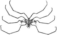 HPN076AP.TIF