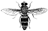 HPN075EE.TIF