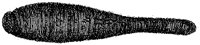 HPN075DN.TIF