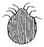 HPN075CQ.TIF