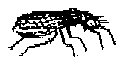 HPN075CN.TIF