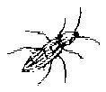 HPN075CF.TIF