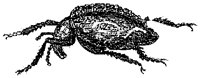 HPN079GM.TIF