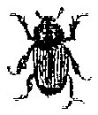 HPN079FM.TIF
