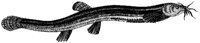 HPN079EW.TIF