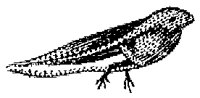 HPN079EJ.TIF