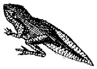 HPN079EI.TIF