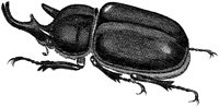 HPN079EA.TIF
