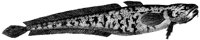 HPN079DQ.TIF