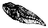 HPN079DL.TIF