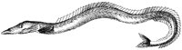 HPN079DE.TIF
