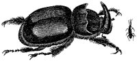 HPN079CV.TIF