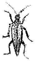 HPN079CQ.TIF