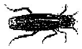 HPN079CP.TIF