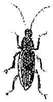 HPN079BU.TIF