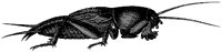 HPN078DJ.TIF