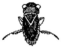 HPN078CS.TIF