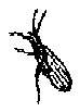 HPN078CP.TIF