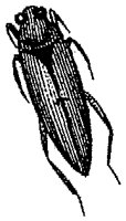 HPN078CI.TIF