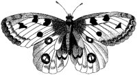 HPN078CH.TIF