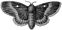HPN078BA.TIF