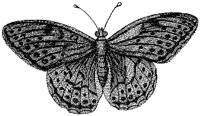 HPN078AZ.TIF