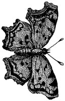 HPN078AX.TIF
