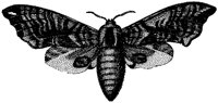 HPN078AP.TIF