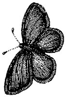 HPN078AO.TIF