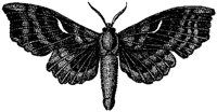 HPN078AG.TIF