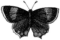 HPN078AD.TIF