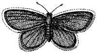 HPN078AA.TIF