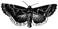 HPN077EY.TIF