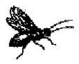HPN077DZ.TIF