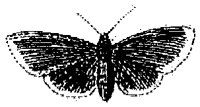HPN077BZ.TIF