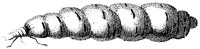 HPN077AZ.TIF