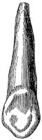 HPN122CO.TIF