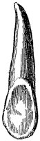 HPN122CN.TIF