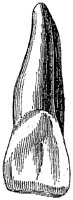 HPN122CM.TIF