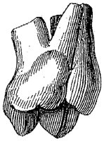 HPN122CJ.TIF