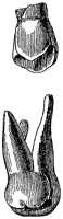 HPN122CH.TIF