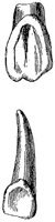 HPN122CF.TIF