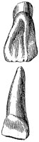 HPN122CE.TIF