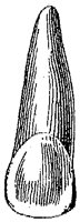 HPN122BQ.TIF