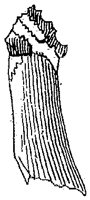 HPN122BL.TIF