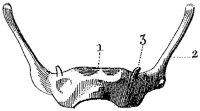 HPN122AQ.TIF