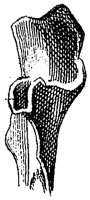 HPN121BC.TIF